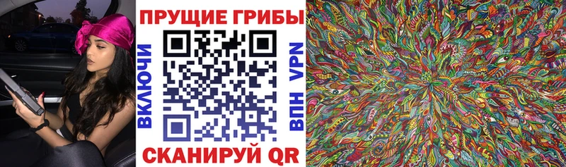 Псилоцибиновые грибы Cubensis  KRAKEN как войти  Мглин 