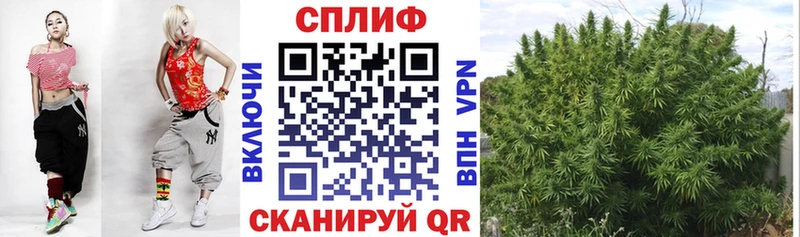 кракен ТОР купить наркотики цена Мглин маркетплейс какой сайт МАРИХУАНА семена